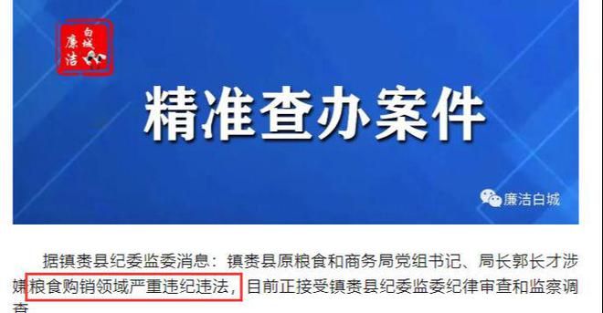 黑心宠物粮企业暂停运营引发行业警钟与责任反思