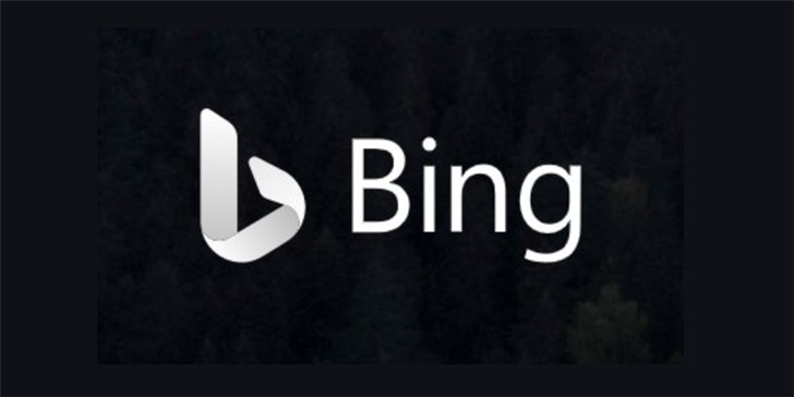 Bing，数字世界的奥秘探索之旅