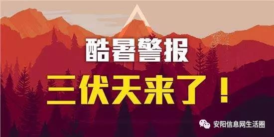 三伏天炙热下的挑战与应对