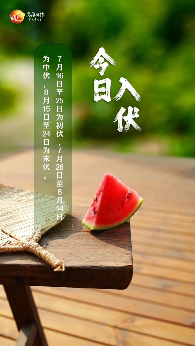 入伏，炎热盛夏的序幕正式开启