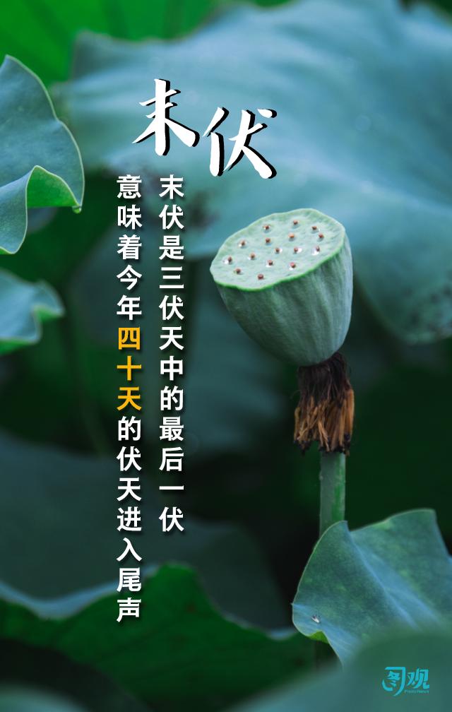 三伏天的魅力与挑战探索