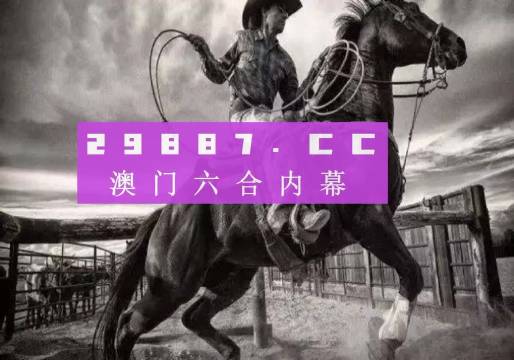 2024澳门精准四不像正版,深度分析解释定义_PalmOS50.469