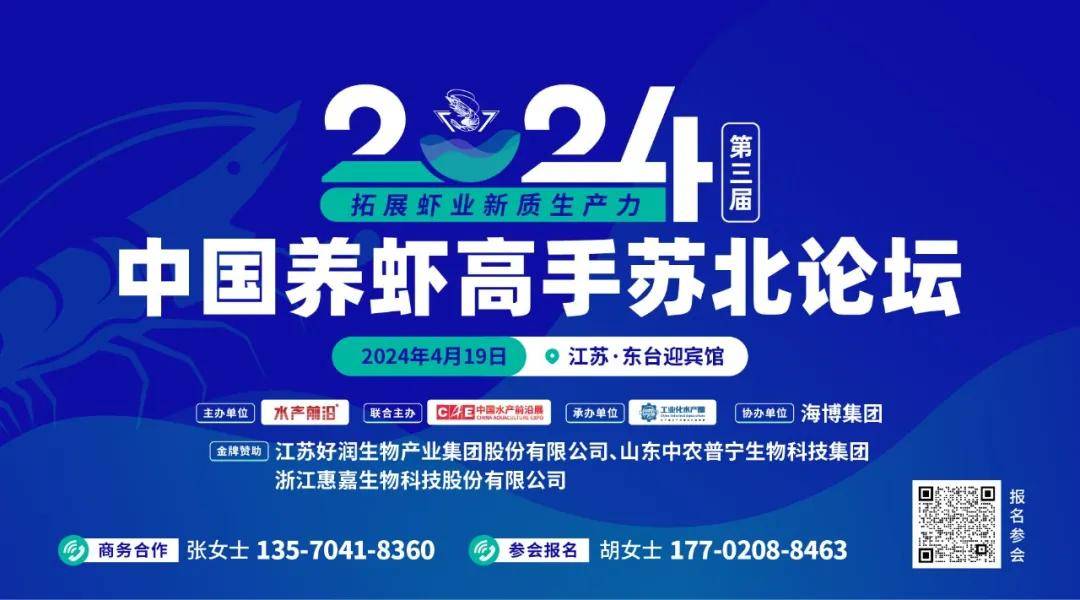 新澳门王中王高手论坛,实地评估策略数据_进阶款31.127