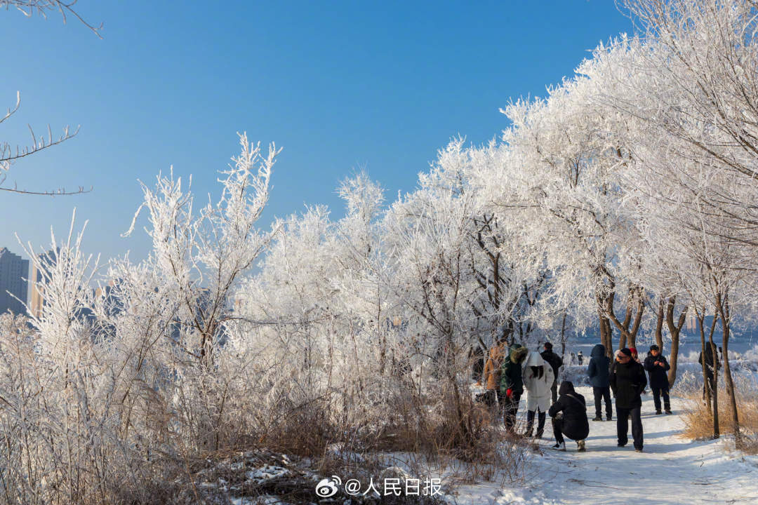 长白山冰封玫瑰的氛围拉满了浪漫