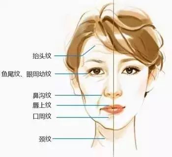 ご死灵メ裁决ぃ 第3页