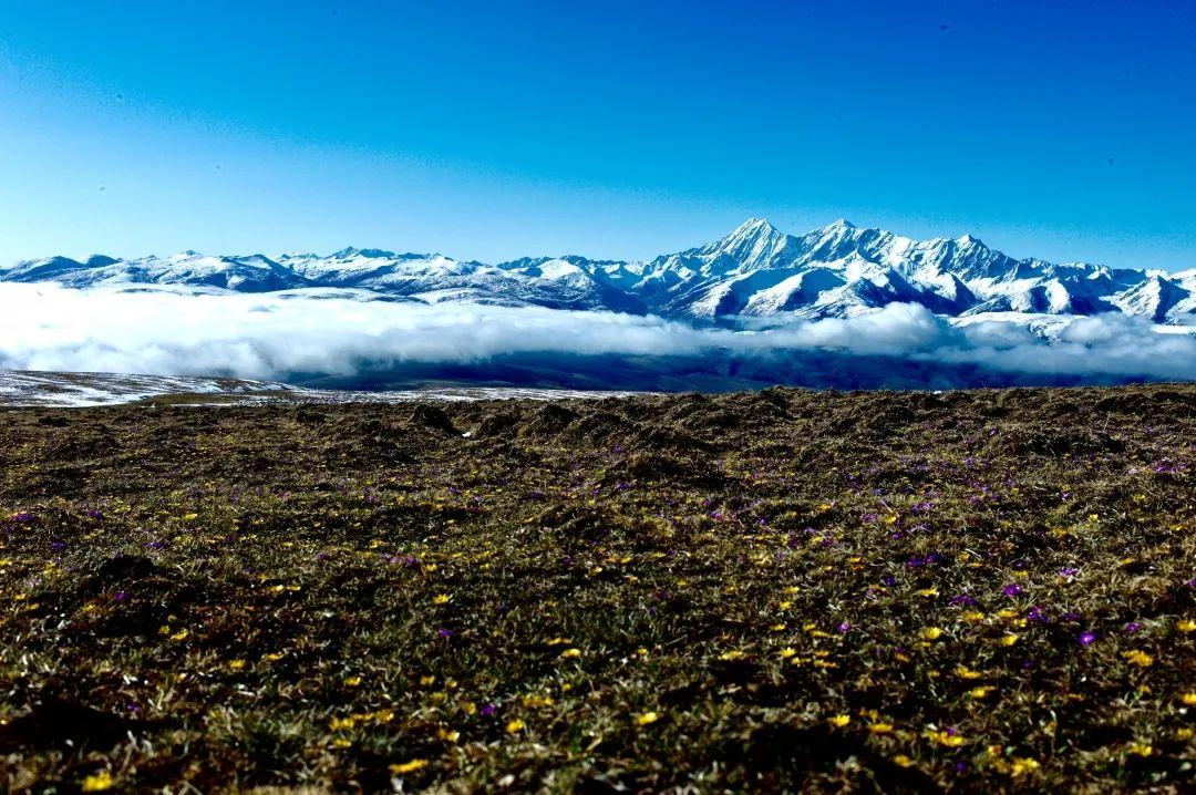 甘孜雪山遇难者，中学体育老师