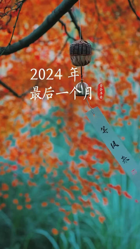 2024年，嘴角上扬的回忆