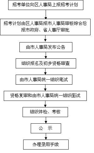 公务员录取流程详解，时间与步骤的全方位解读