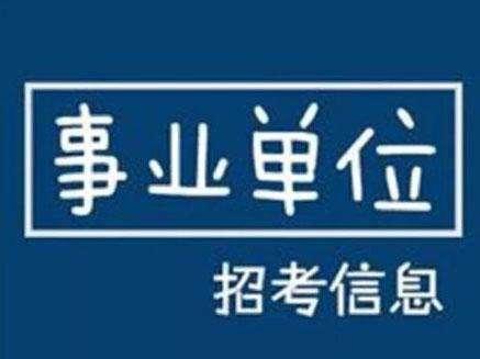 2025年1月1日 第13页