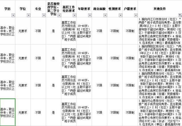 公务员报考资格条件详解，学历的重要性不可小觑