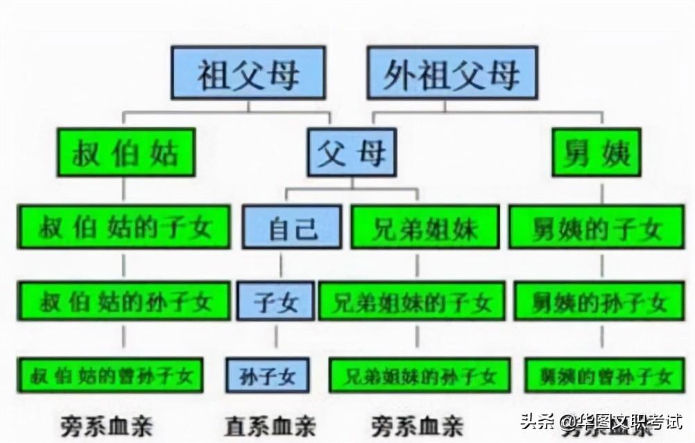 公务员考试政审标准中亲属要求的重要性及其影响分析