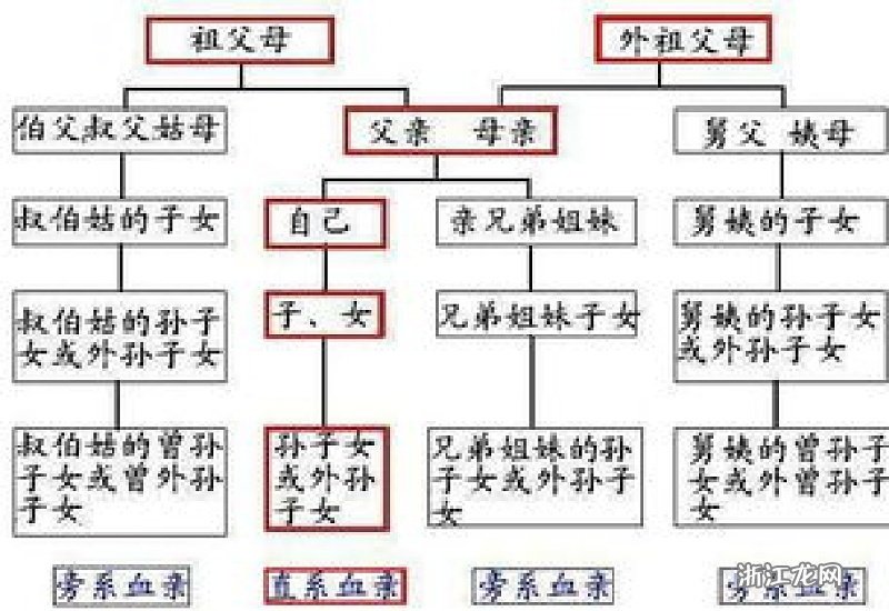 直系亲属，定义、界限与重要性解析