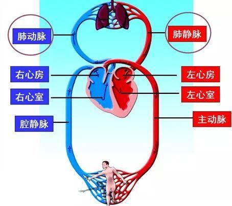 国家公务员考试网，梦想与现实的桥梁