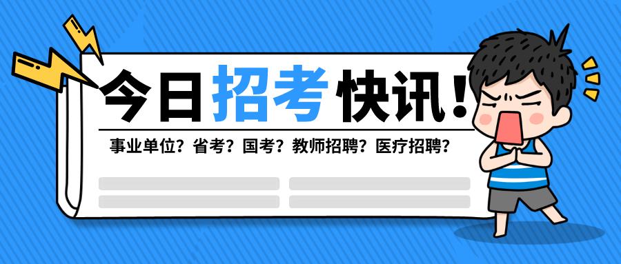 公务员调剂职位类别深度解析与探索